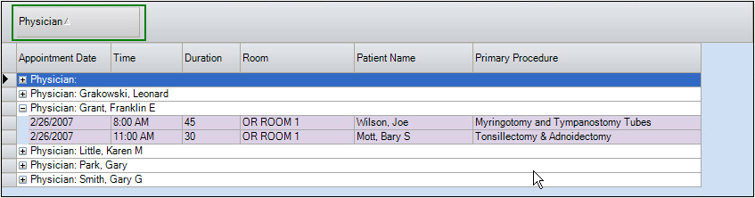https://demo.hstpathways.com/HstAscWebServiceWCF/Help/Images/grouped_grid.jpg